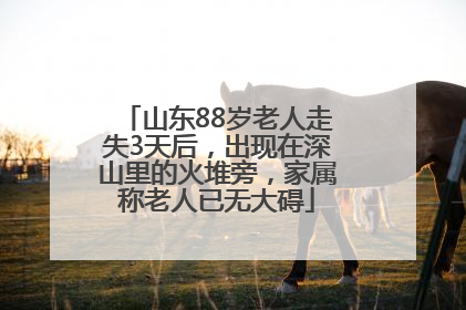 山东88岁老人走失3天后，出现在深山里的火堆旁，家属称老人已无大碍